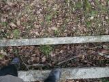 image of grave number 775195